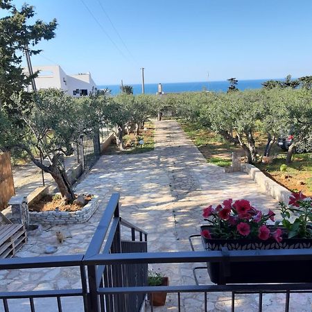 Villa L'Orizzonte Di Calabianca 카스텔라마레델골포 외부 사진