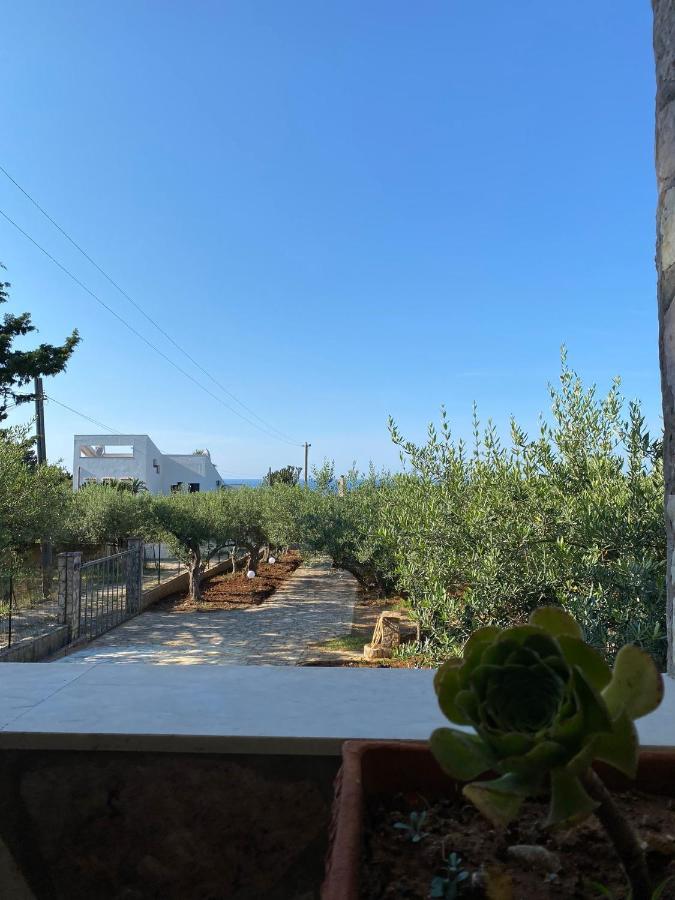 Villa L'Orizzonte Di Calabianca 카스텔라마레델골포 외부 사진