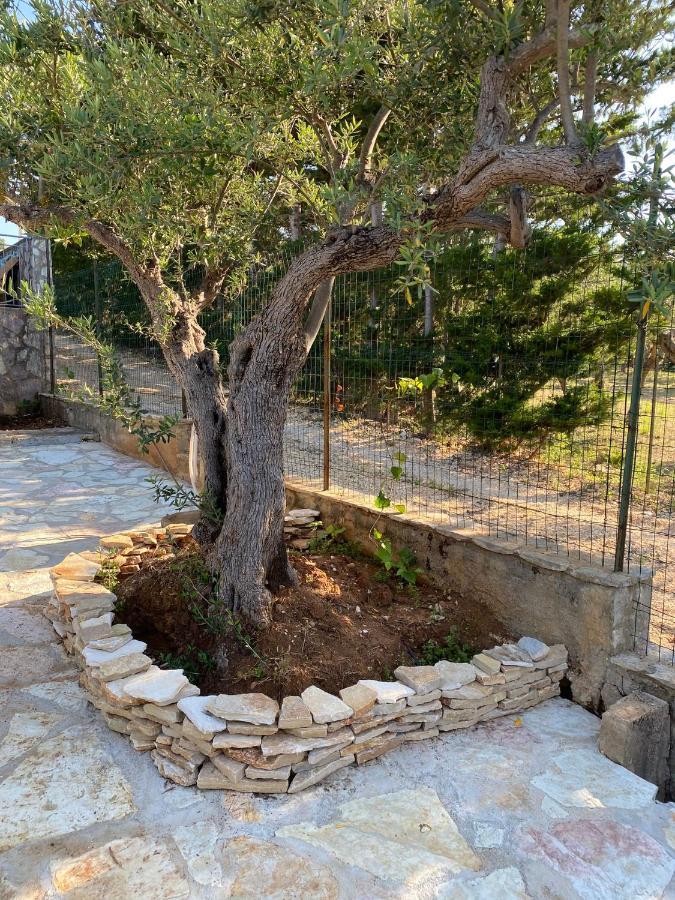 Villa L'Orizzonte Di Calabianca 카스텔라마레델골포 외부 사진