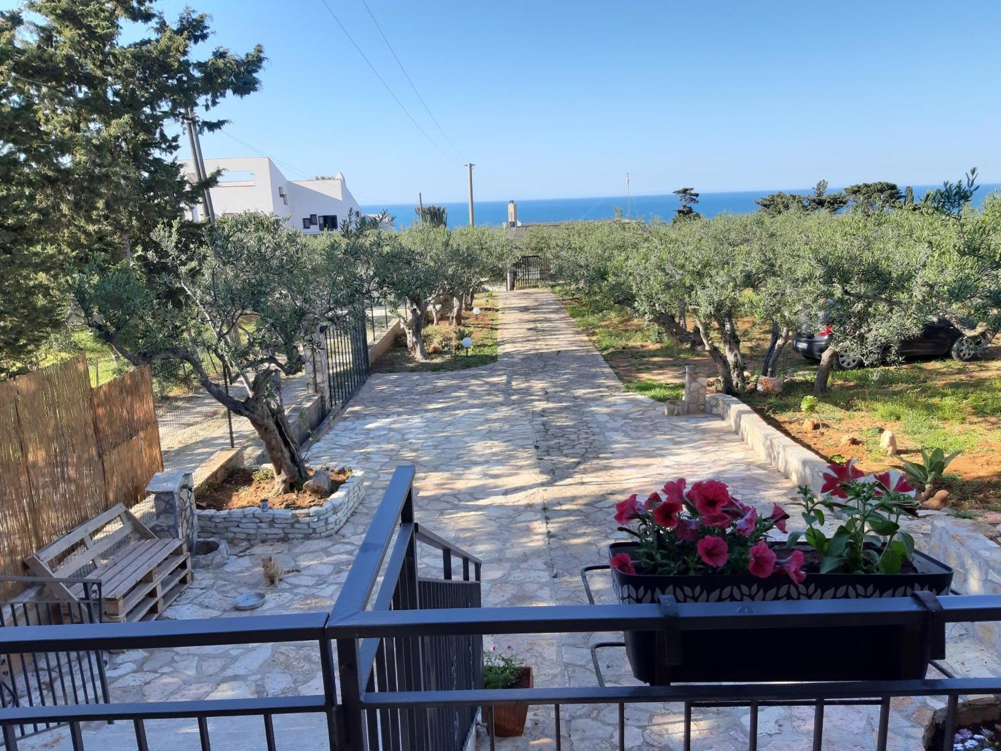 Villa L'Orizzonte Di Calabianca 카스텔라마레델골포 외부 사진