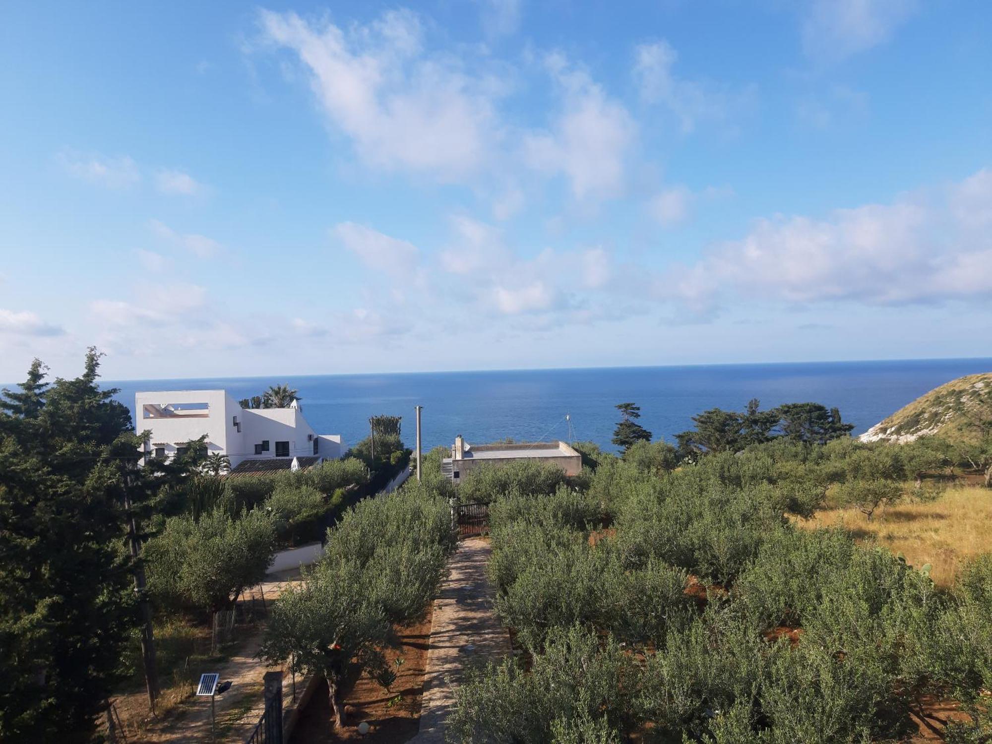 Villa L'Orizzonte Di Calabianca 카스텔라마레델골포 외부 사진