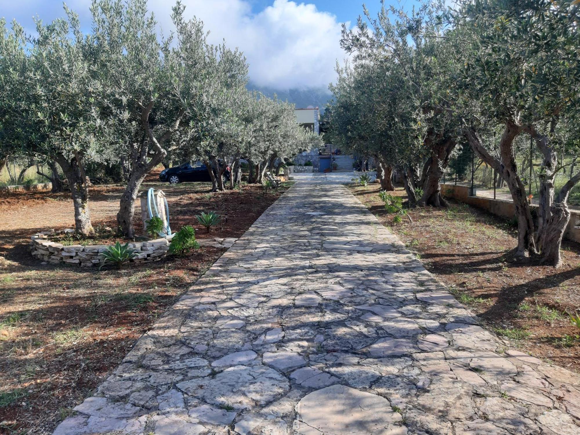 Villa L'Orizzonte Di Calabianca 카스텔라마레델골포 외부 사진