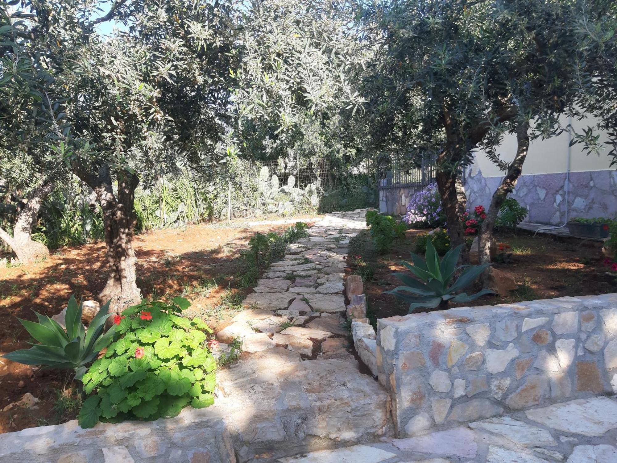 Villa L'Orizzonte Di Calabianca 카스텔라마레델골포 외부 사진