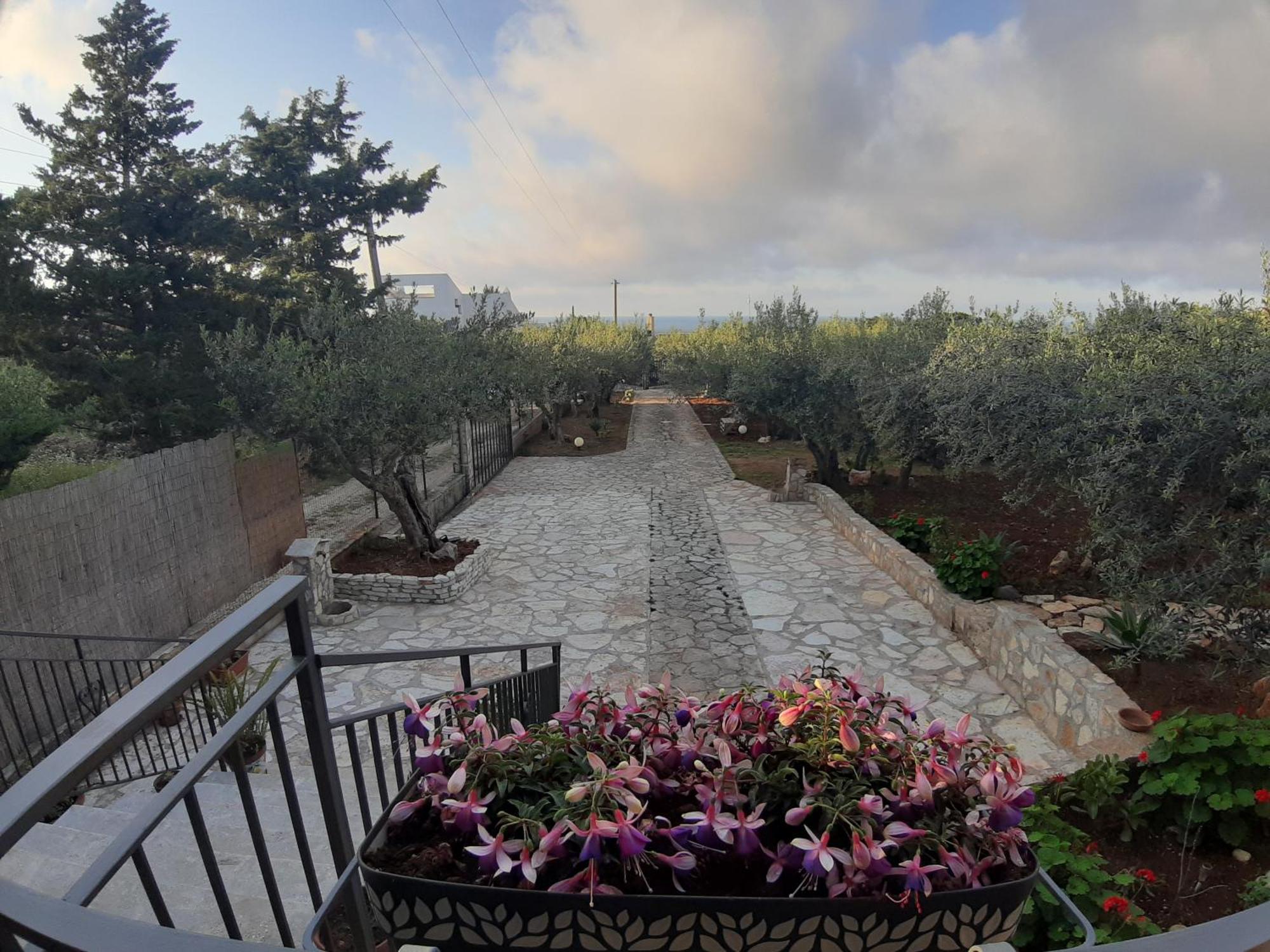 Villa L'Orizzonte Di Calabianca 카스텔라마레델골포 외부 사진