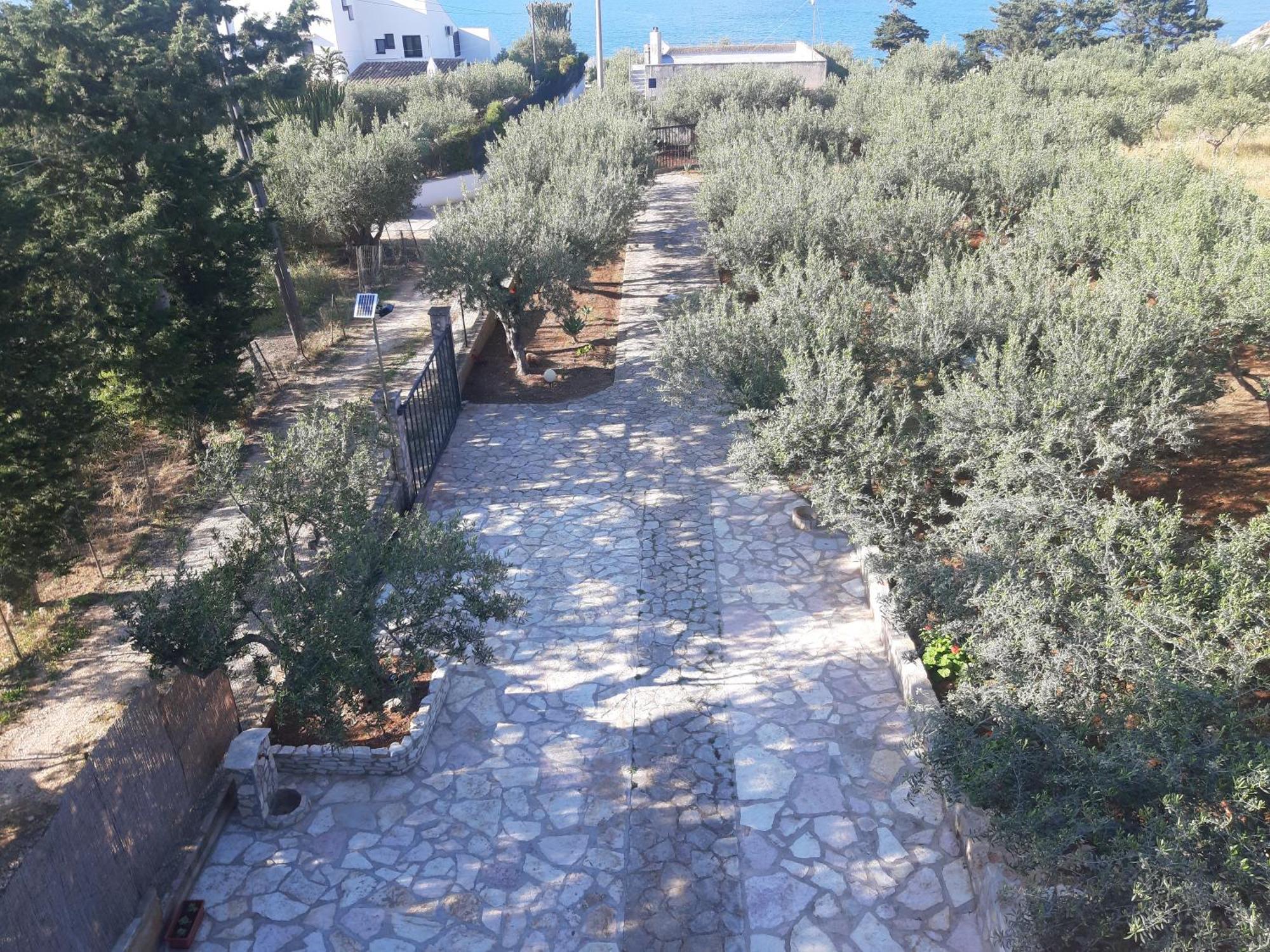 Villa L'Orizzonte Di Calabianca 카스텔라마레델골포 외부 사진